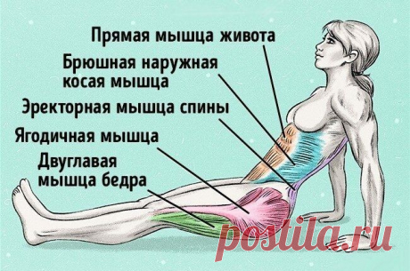 Всего одно упражнение, чтобы сжечь жир и исправить осанку

Начать готовиться к сезону открытых купальников никогда не поздно. А чтобы подготовка прошла максимально быстро, лучше всего выбрать одно самое эффективное упражнение, и результат не заставит себя ждать.

Упражнении «обратная планка» не так популярно, как обычная планка, но ничуть не менее полезно.

Техника выполнения:

1. Сядьте на пол. Выпрямите ноги перед собой. Поставьте ладони на пол, расставьте пальцы для мак...