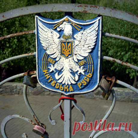 Горишни Плавни: Есть ли жизнь после мема - Bird In Flight