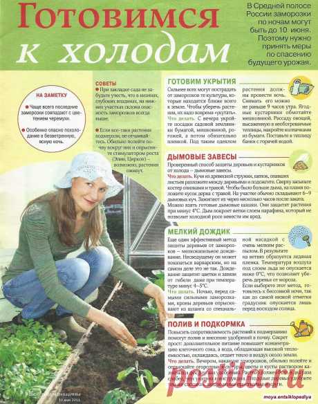 Готовим дачу к холодам
