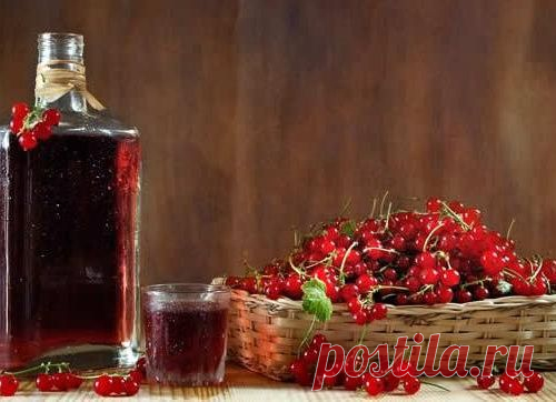 ДОМАШНЕЕ ВИНО.