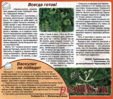 Молочай Палласа от импотенции