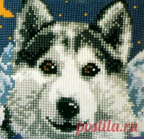 вышивка сибы: 20 тыс изображений найдено в Яндекс.Картинках