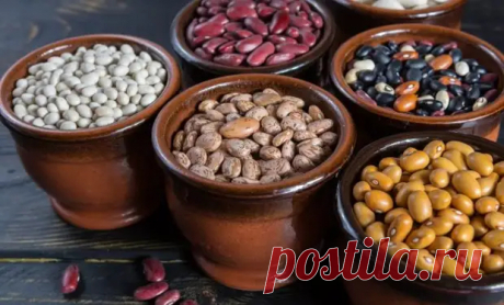 Что можно приготовить из фасоли на зиму и на каждый день - Будет вкусно - 21 января - 43833934975 - Медиаплатформа МирТесен