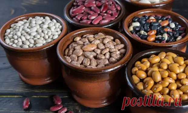 Что можно приготовить из фасоли на зиму и на каждый день - Будет вкусно - 21 января - 43833934975 - Медиаплатформа МирТесен