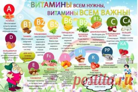Кратко о витаминах:
 
А-морковь, цитрусовые, сливочное масло, сыр, яйца.
D-молоко, яйца, печень трески, жирные сорта рыбы.
Е-кукурузное, подсолнечное, оливковое масла; горох.
К-зеленые лиственные овощи, шпинат, брюссельская, белокочанная и цветная капуста, крупы из цельного зерна.
В1-свинина, овес, орехи (фундук).
В2-отруби пшеницы, соевые бобы, капуста брокколи печень, яичный желток, сыр.
РР-зеленые овощи, орехи, крупы из цельного зерна, дрожжи, мясо, в том числе куриное, печень, рыба, м