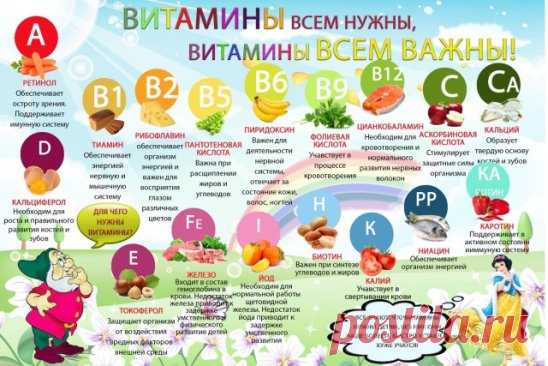 Кратко о витаминах:
 
А-морковь, цитрусовые, сливочное масло, сыр, яйца.
D-молоко, яйца, печень трески, жирные сорта рыбы.
Е-кукурузное, подсолнечное, оливковое масла; горох.
К-зеленые лиственные овощи, шпинат, брюссельская, белокочанная и цветная капуста, крупы из цельного зерна.
В1-свинина, овес, орехи (фундук).
В2-отруби пшеницы, соевые бобы, капуста брокколи печень, яичный желток, сыр.
РР-зеленые овощи, орехи, крупы из цельного зерна, дрожжи, мясо, в том числе куриное, печень, рыба, м