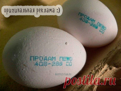 Смешные картинки