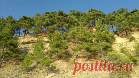 Между Геленджиком о Беттой, Краснодарский край