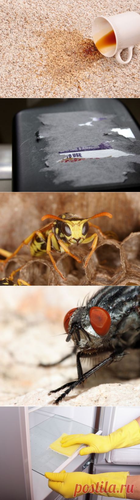 Способы применения масляного аэрозоля — Делимся советами