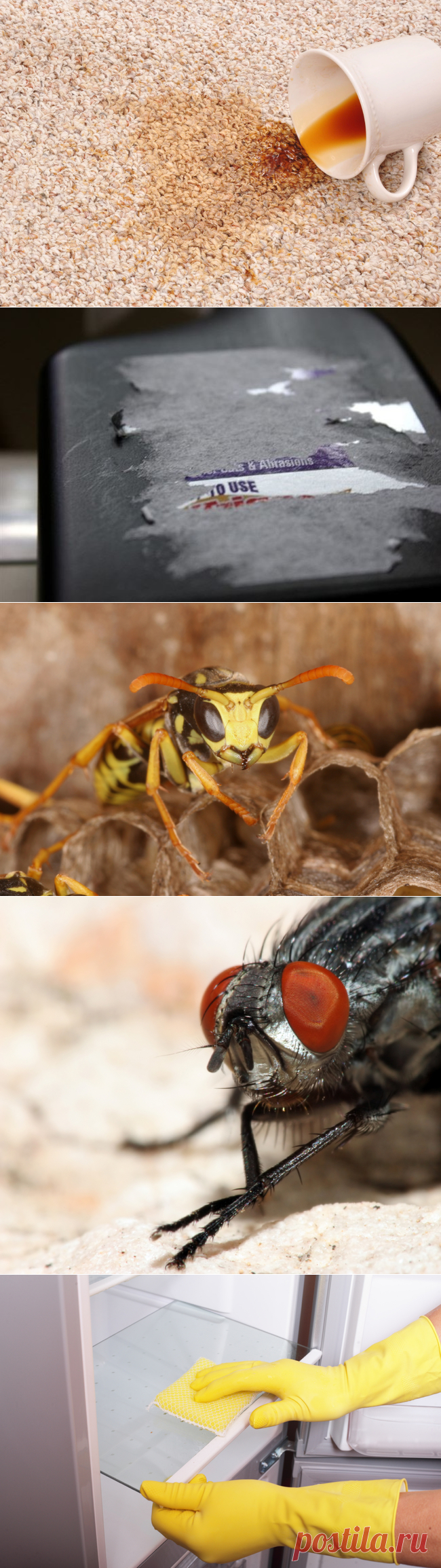 Способы применения масляного аэрозоля — Делимся советами