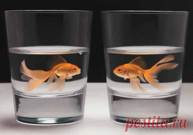 Тест: погружение во внутренний мир
тест самопознание тест самопознание С помощью таких тестов есть возможность определить особенности вашей личности. Одной единственной картинки вполне достаточно, чтобы понять поведение конкретного человека. Изображение, предложенное сегодня, раскроет в деталях ваш внутренний мир. Какая рыбка вам в первую очередь бросилось вам в глаза? тест самопознание тест самопознание
Читай дальше на сайте. Жми подробнее ➡