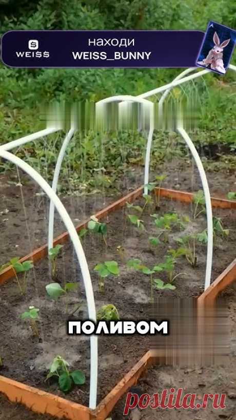 Жена скажет спасибо  #стройка #diy #своимируками
