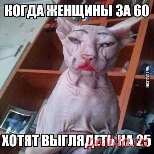 Диалоги