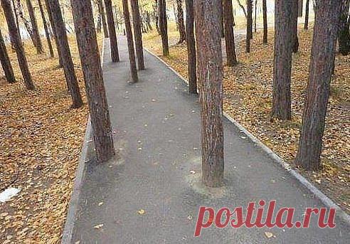 Самое главное....ночью пьяным домой здесь не идти!!