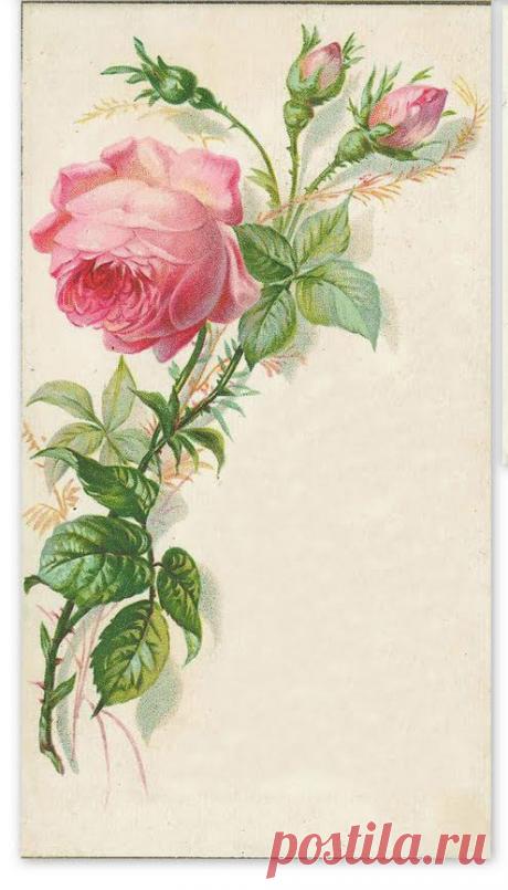 Найдено на сайте thebestheartsarecrunchy.blogspot.com.au.