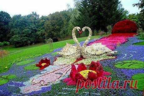 (99) Одноклассники