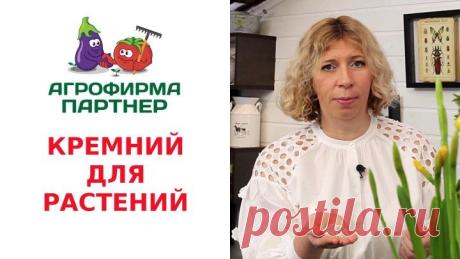 КРЕМНИЙ ДЛЯ РАСТЕНИЙ