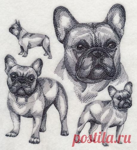 Machine Embroidery Designs at Embroidery Library! - Embroidery Library