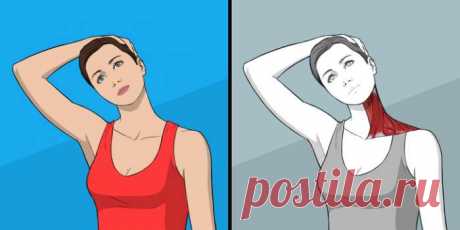 9 упражнений для растяжки, которые могут заменить поход к массажисту — Journal women