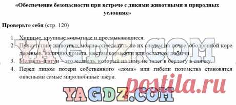 ГДЗ по ОБЖ 6 класс Смирнов Хренников ответы на вопросы