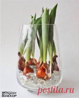 Дизайн & Декор | ВКонтакте