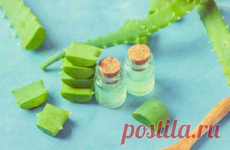 Чудесное спасение: 5 волшебных домашних средств для буйного роста волос — Лайм