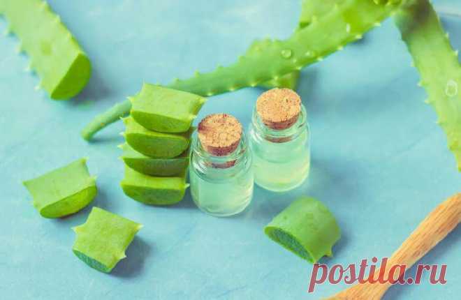 Чудесное спасение: 5 волшебных домашних средств для буйного роста волос — Лайм