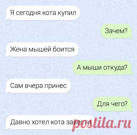 Забавные переписки людей, которых неправильно поняли.