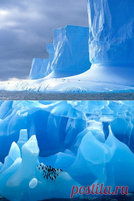 Антарктида: ледяное царство