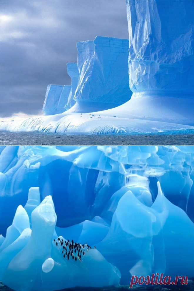 Антарктида: ледяное царство