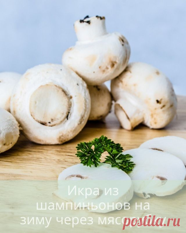 Икра из шампиньонов на зиму через мясорубку — Дачный участок