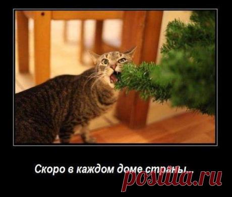 Интересные новости