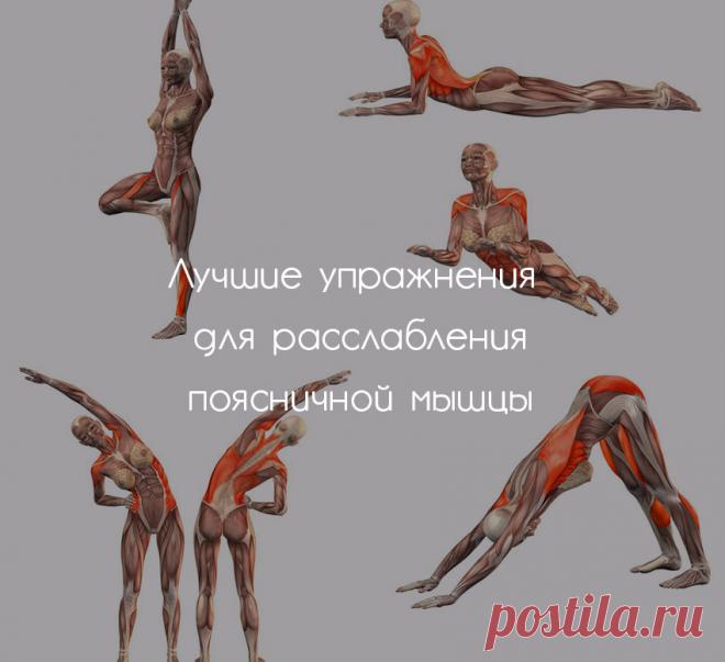 Лучшие упражнения для поясничной мышцы (мышцы Души) Экология здоровья: Поначалу может быть непросто достичь чувствительности поясничной мышцы. Она находится глубоко в теле и выполняет привычные паттерны удерживания и фиксации нашего тела. Также можно сказать, что поясничная мышца глубоко связана с нашими эмоциями.

