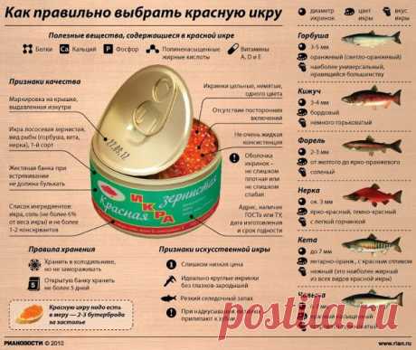 Как выбрать красную икру?