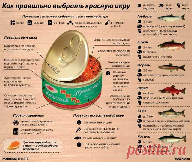 Как выбрать красную икру?
