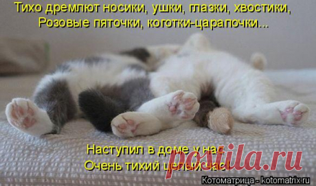 Спи моя родная, я всегда с тобой | KotoMail.ru