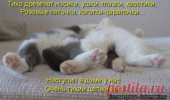 Спи моя родная, я всегда с тобой | KotoMail.ru