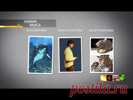 Химия вкуса. Фильм 2