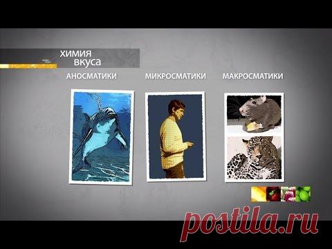 Химия вкуса. Фильм 2