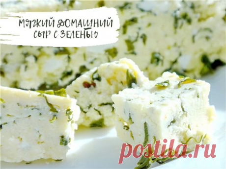 Гениальный рецепт — мягкий домашний сыр с зеленью