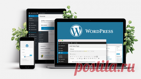 Как установить WordPress на хостинг 2022 | Zsay