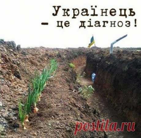 Ольга Лисеєнка - UkrOpen