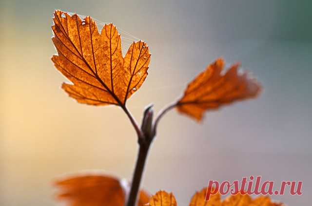 3035549066_937c02ca56_z.jpg (640×423)