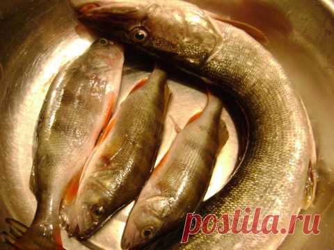 Суфле из речной рыбки