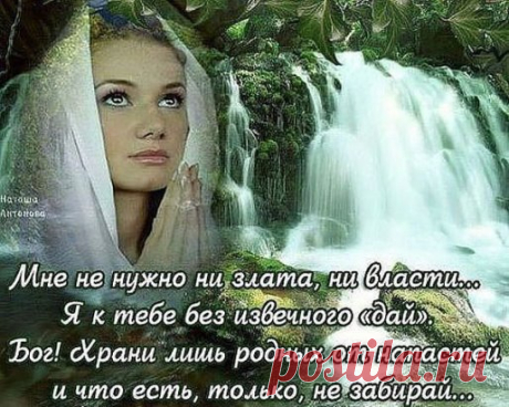 Свекла лечит все !
Свекла просто необходима для здоровья. Она содержит массу ценных питательных веществ. Свекла хороша и полезна в любом виде - вареная, сырая, в салате или борще и даже в виде кваса!
Важно: свекла для лечения выбирается насыщенно бордового цвета. Лучше, если она со своего огорода.
1. Перхоть. В 3-х литровую банку налить 1,5 л холодной воды и положить нарезанную, очищенную свеклу. Дать настояться сутки и использовать для мытья волос вместо обычной воды. Перед процедурой добавл