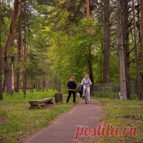 👪 Место, где можно не просто отдохнуть, но и оздоровиться душой
💁 Приветливый персонал 🌲 Живописная природа 💖 Приятные цены
🌍 Владимирская обл., Собинский район, с. Березники 📞 8(495)367-30-28
