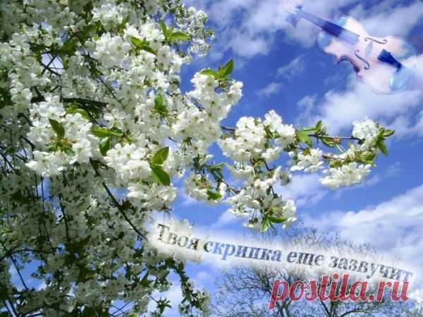 Не проси у судьбы (Ирина Истомина) / Стихи.ру - национальный сервер современной поэзии