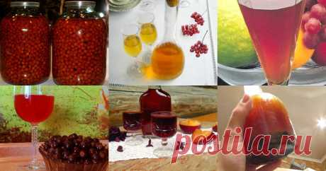 Домашние наливки - 55 рецептов приготовления пошагово - 1000.menu Домашние наливки - быстрые и простые рецепты для дома на любой вкус: отзывы, время готовки, калории, супер-поиск, личная КК