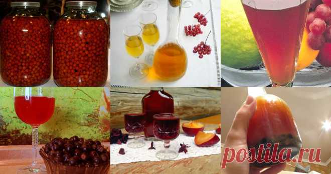Домашние наливки - 55 рецептов приготовления пошагово - 1000.menu Домашние наливки - быстрые и простые рецепты для дома на любой вкус: отзывы, время готовки, калории, супер-поиск, личная КК