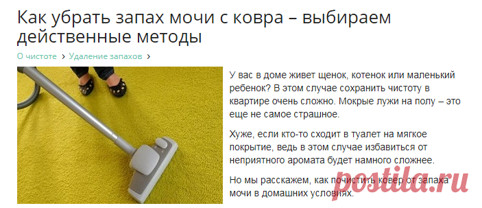 Как вывести запах мочи с ковра – эффективные способы